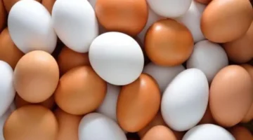 سعر 2 ديسمبر.. مفاجآت جديدة في أسعار البيض داخل الأسواق اليوم الثلاثاء